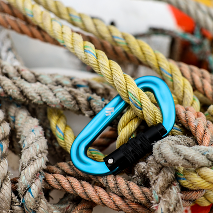 Wild Soul Brand Locking Carabiner Clip
