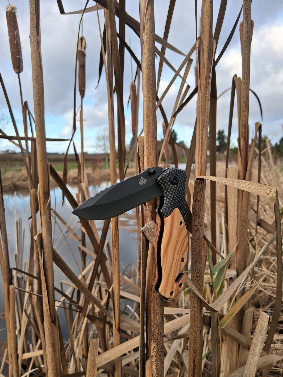 Ridgeblade folding knife resting in cattails at the edge of a marsh