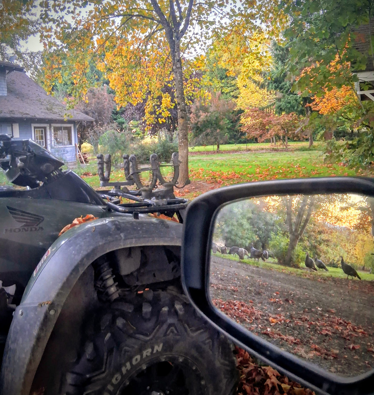ATV parked under autumn trees with wild turkeys reflected in the side mirror