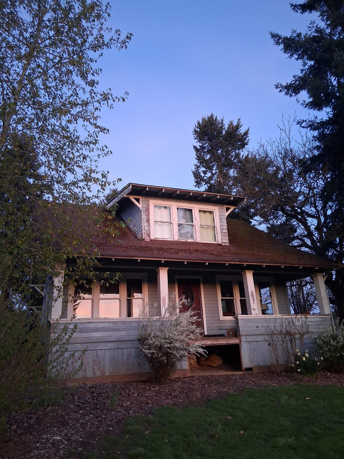 Craftsman-style house among tall trees at dusk, home base for Wild Soul Brand